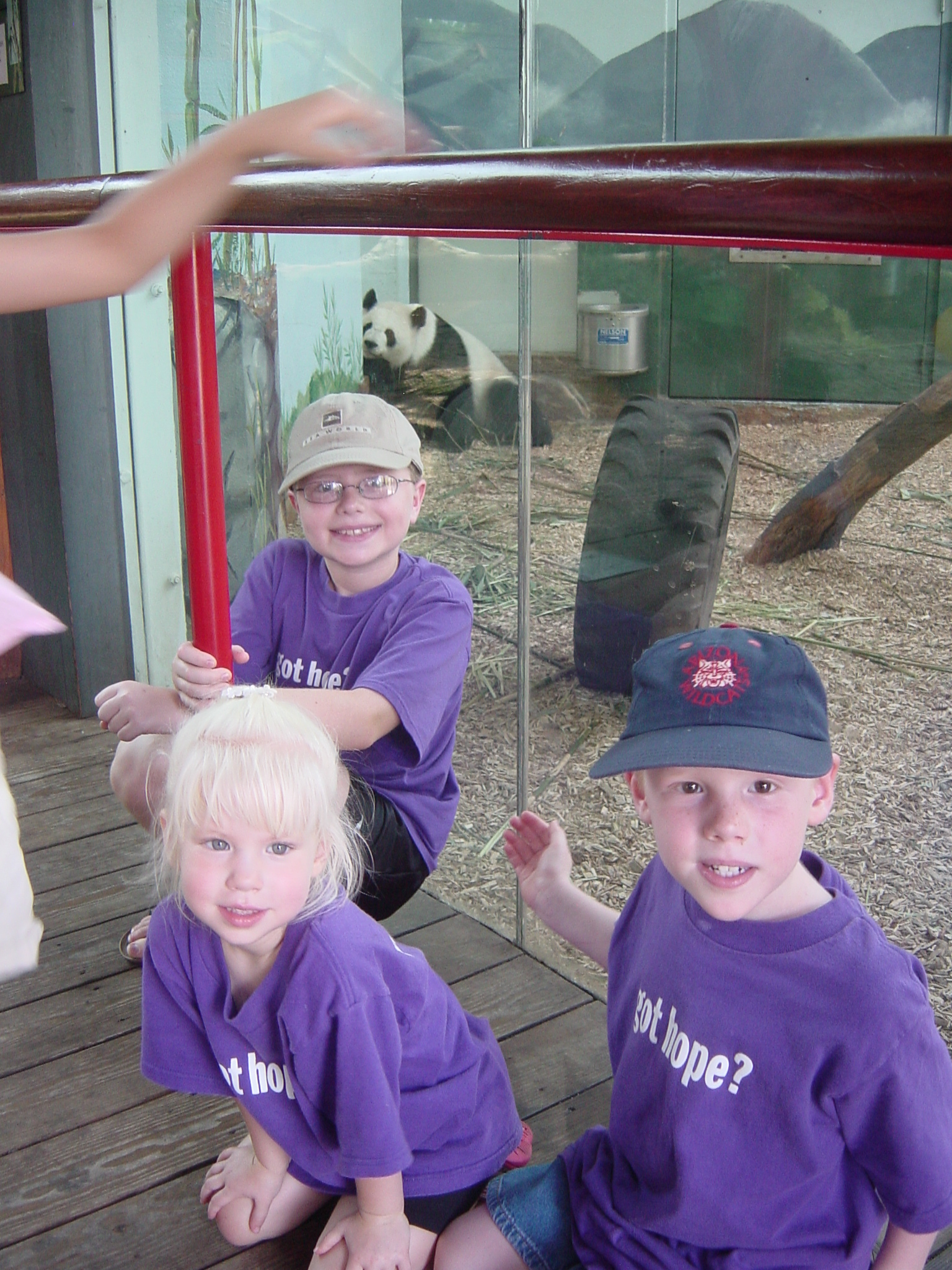 Atlanta Zoo 011.jpg